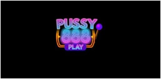 Review Of The Pussy888 App