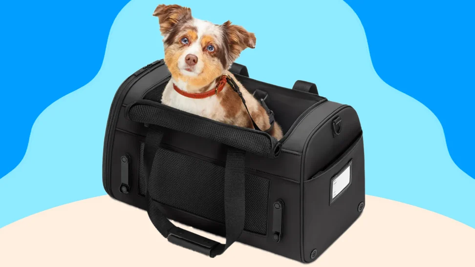 Luxury Pet Carrier: The Perfect Travel Companion for Your Furry Friend